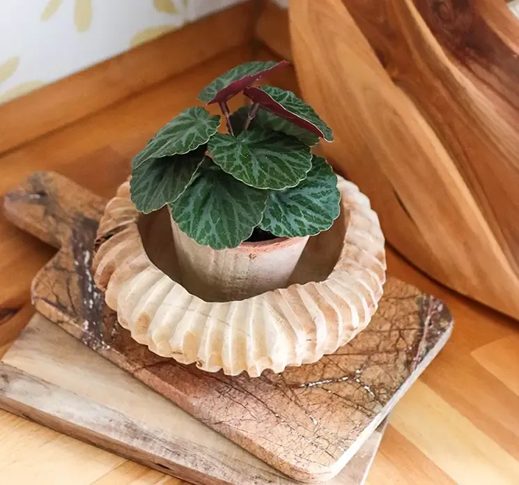 Kunstig stenbæk mini plante i ler krukket vist i køkkenmiljø