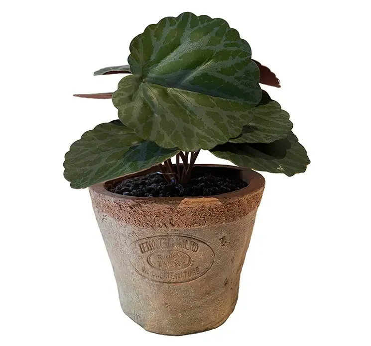 Kunstig stenbæk mini plante i ler krukket