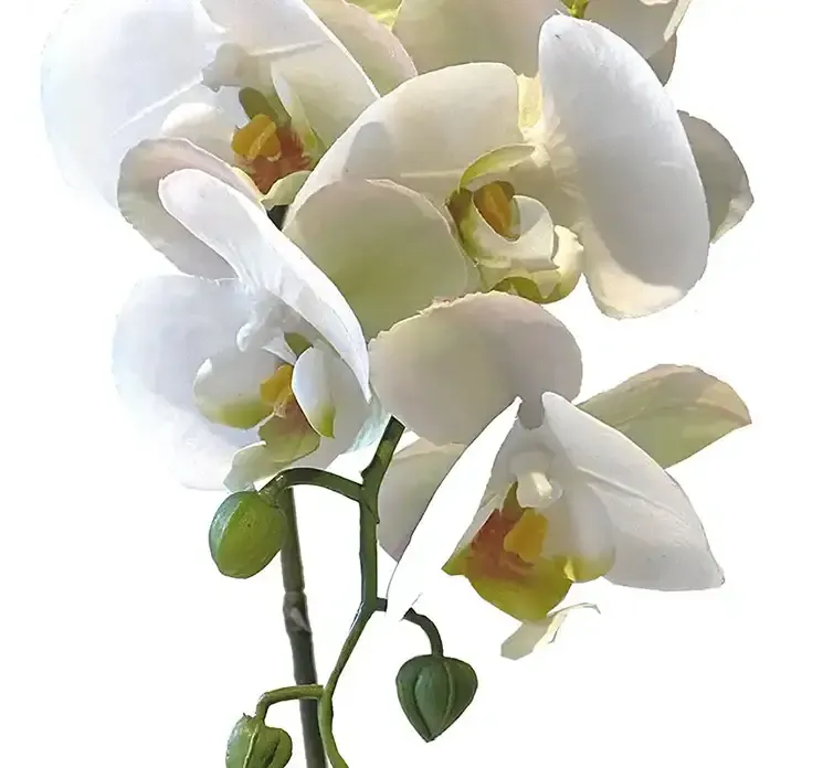 Kunstig orkide på stilk af plast i hvid closeup