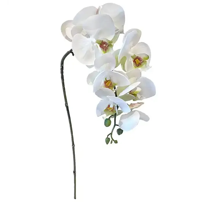 Kunstig orkide på stilk af plast i hvid