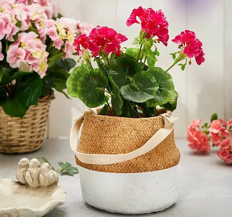 Cement krukke med ophæng vist i miljø med kunstig pelargonie plante