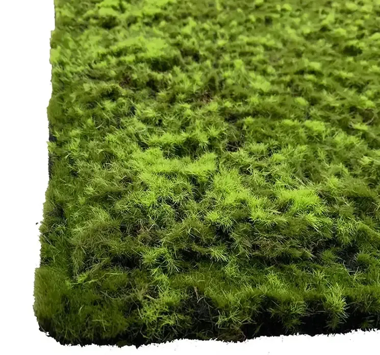 Kunstig mos måtte, hypenum closeup