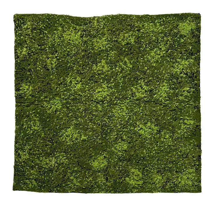 Kunstig mos måtte, hypenum