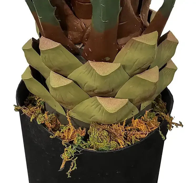 Agave i grøn i sort potte af plast kunstig plante closeup rod og potte