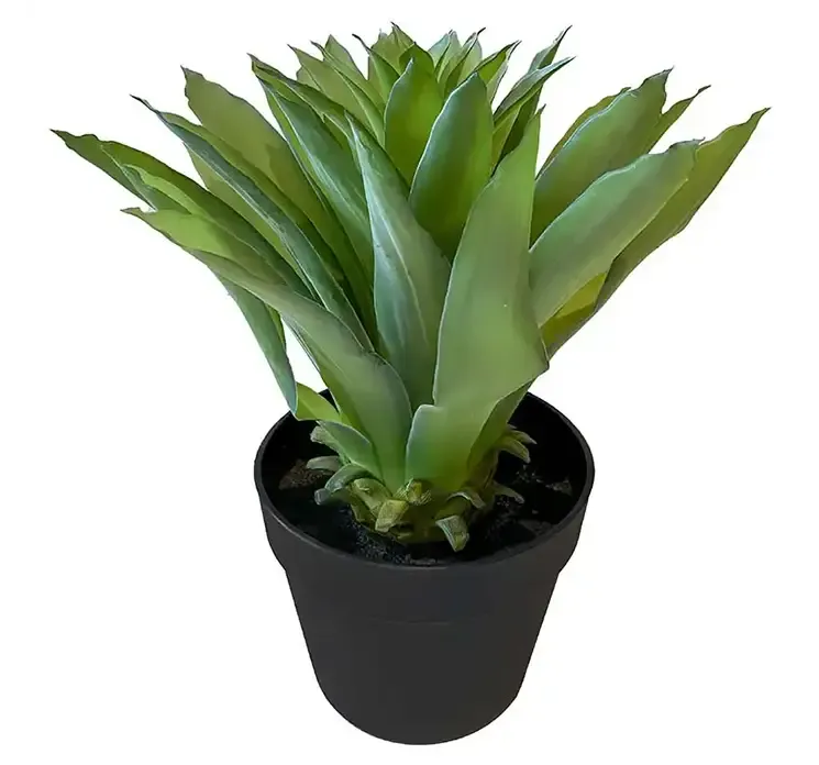 Kunstig agave plante i sort potte af plast