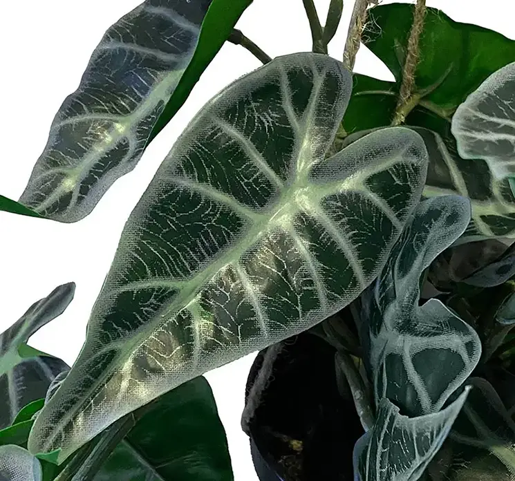 Elefantøre også kaldet alocasia kunstig plante hænger i potte af plast 80cm closeup