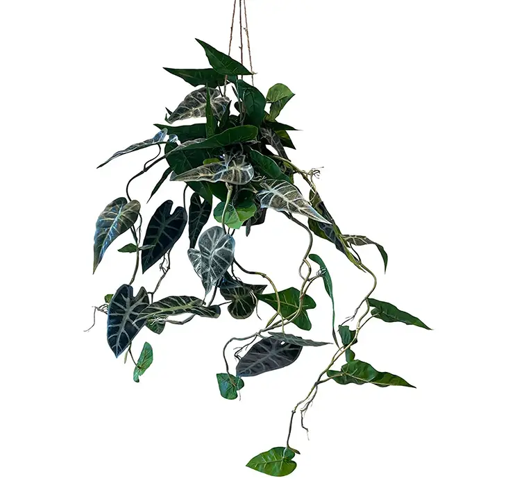 Elefantøre også kaldet alocasia kunstig plante hænger i potte af plast 80cm