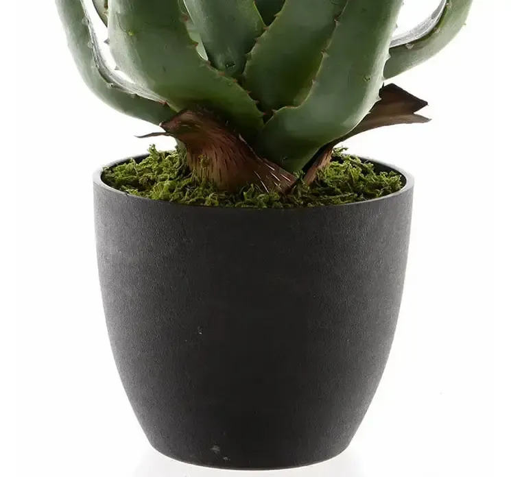 Kunstig aloe vera plante i sort potte af plast closeup af potte