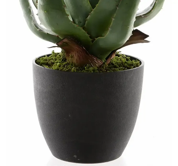 Kunstig aloe vera plante af plast i sort potte closeup