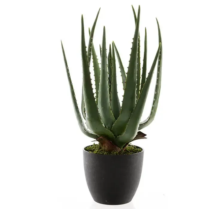 Kunstig aloe vera plante af plast og i sort potte