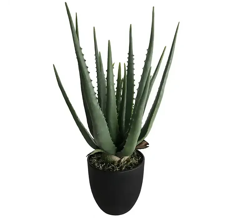 Kunstig aloe vera plante i sort potte af plast