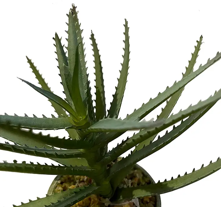 Aleo vera kunstig plante af plast i grøn sat i rustik potte 18cm closeup