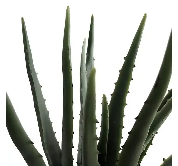 Kunstig aloe vera plante i potte af plastik closeup af blade