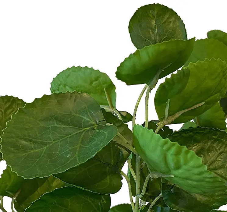Aralia polyscias fabian kunstig plante i grøn i sort potte 64cm closeup