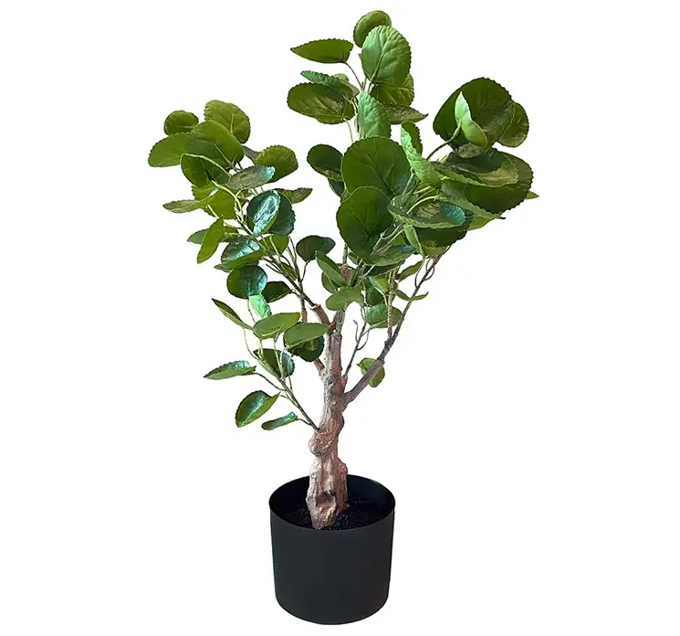 Aralia polyscias fabian kunstig plante i grøn i sort potte 64cm
