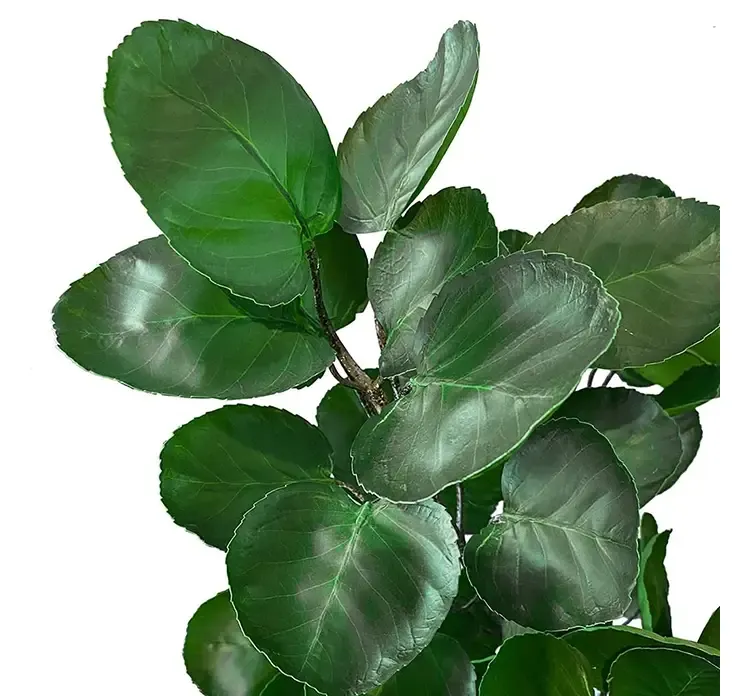 Kunstig aralia plante i sort potte af plast closeup af blade