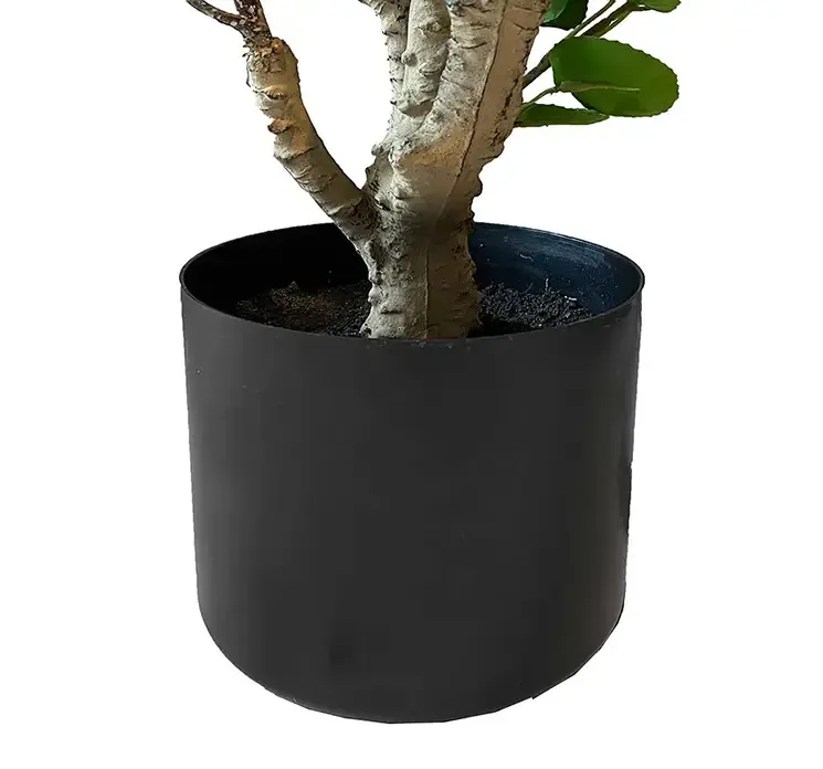 Kunstig aralia plante i sort potte af plast closeup af potte