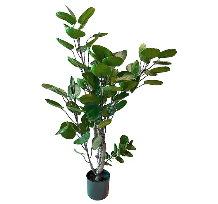 Kunstig aralia plante i sort potte af plast
