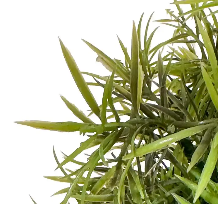 Kunstig bambus plante i potte af plast closeup