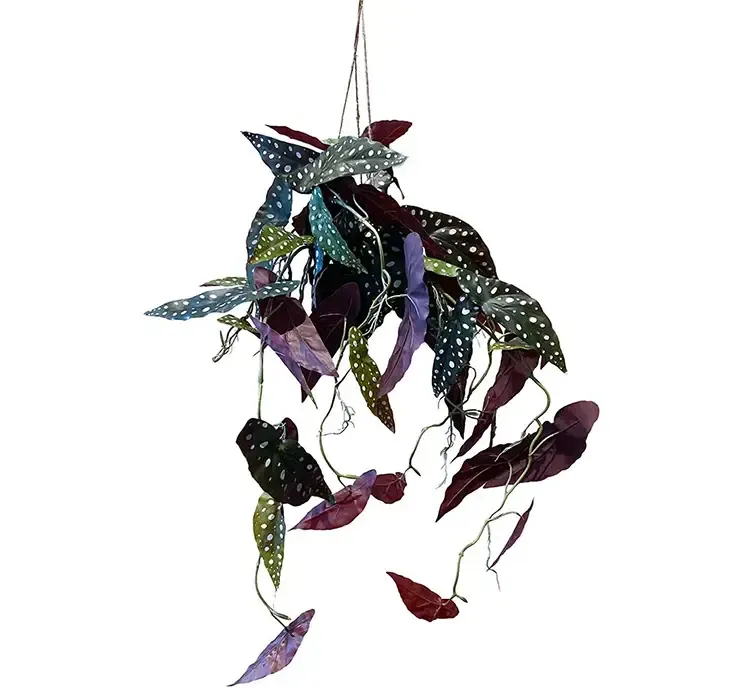 Kunstig begonia maculata hængeplante i grøn og bordeaux af plast