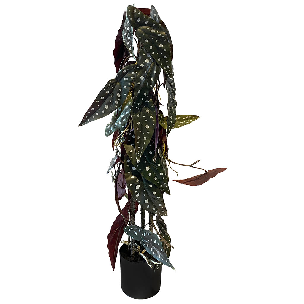 Kunstig begonia maculata opbundet af plast i sort potte