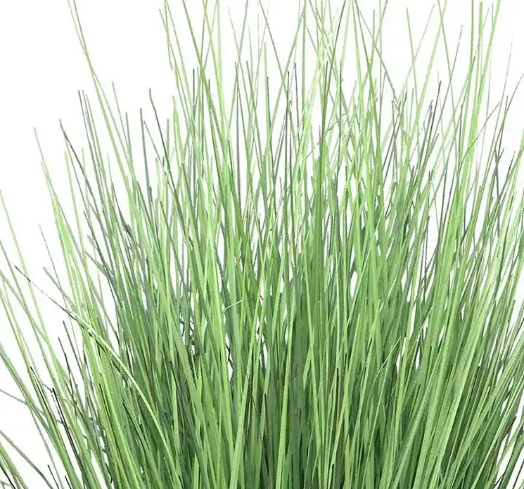 Bjørnegræs kunstig af plast i grøn i sort potte 60cm closeup