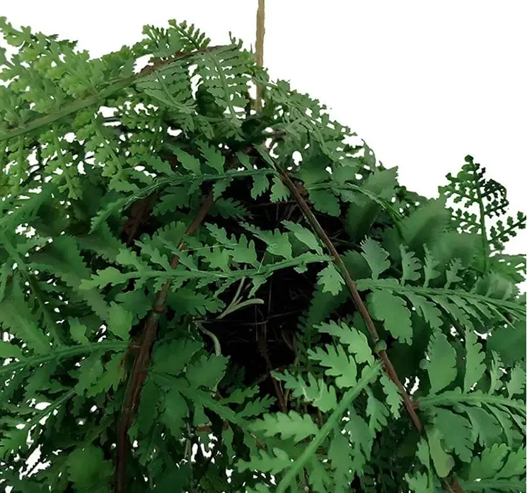 Kunstig bregne hænger med hængende rødder, til ophæng closeup