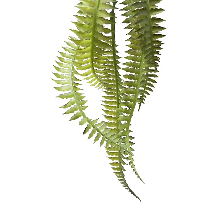 Bregne hænger kunstig plante af plast i grøn closeup