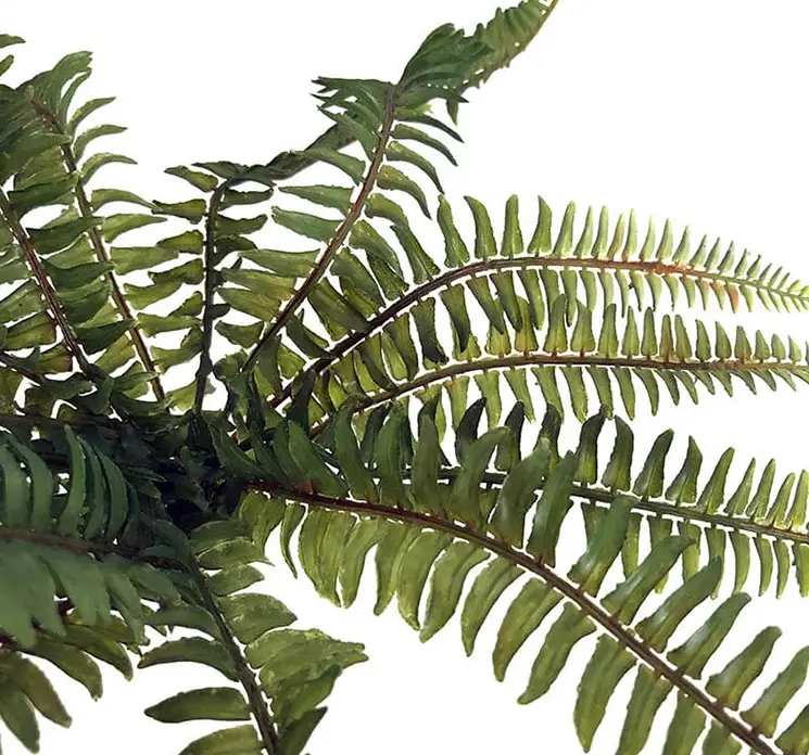 Bregne på stilk kunstig plante af plast i grøn 41cm closeup