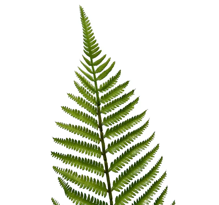Bregne på stilk kunstig plante af plast i grøn closeup