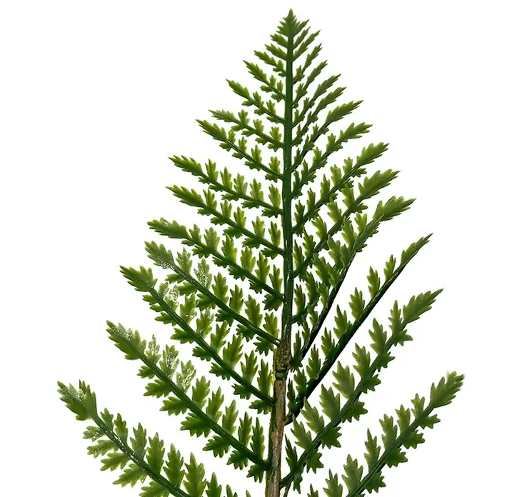 Kunstig bregne plante i potte af plast uv beskyttet closeup af blade