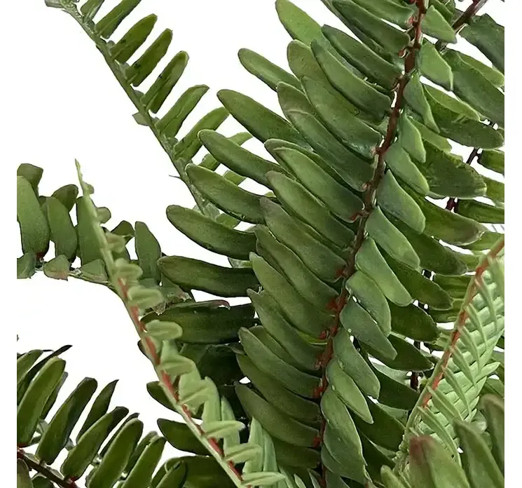 Kunstig bregne plante på stilk af plast i grøn uv beskyttet closeup