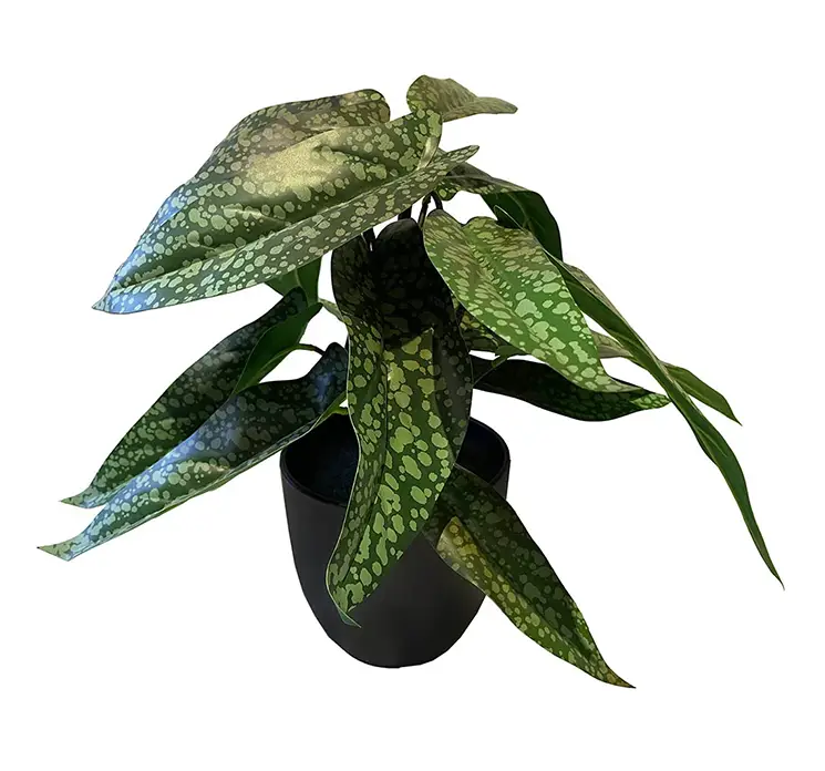 Calathea kunstig plante af plast i grøn sat i sort potte af plast