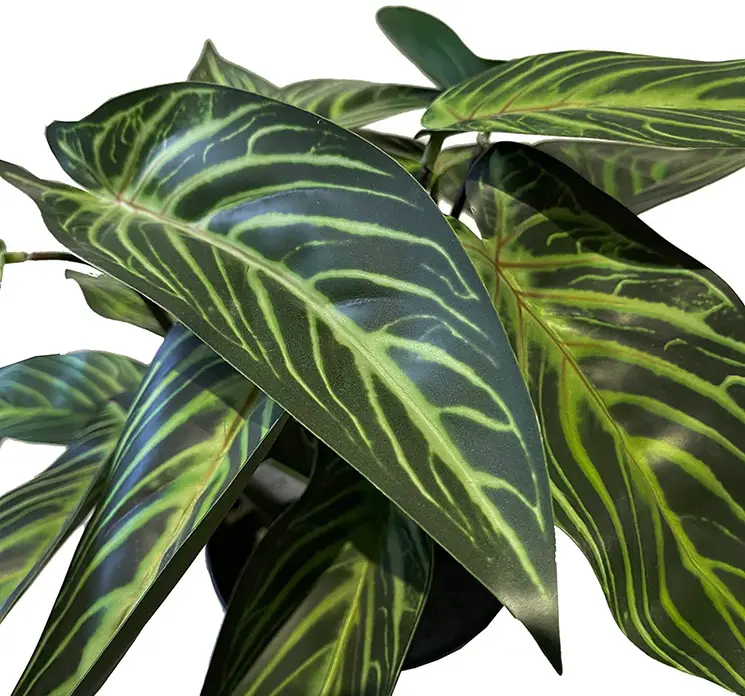 Calathea kunstig plante i sort potte af plast i grøn closeup