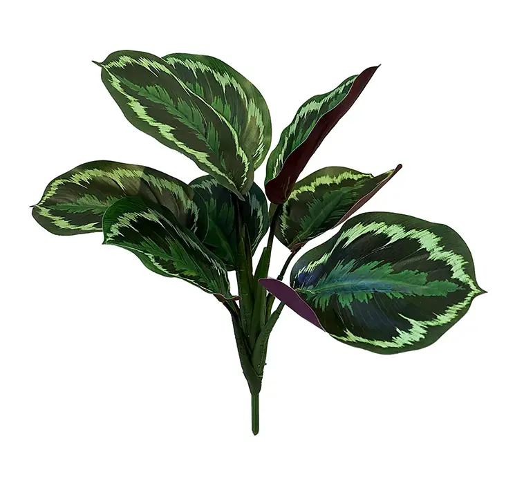 Calathea på stilk kunstig plante af plast i grøn 30cm