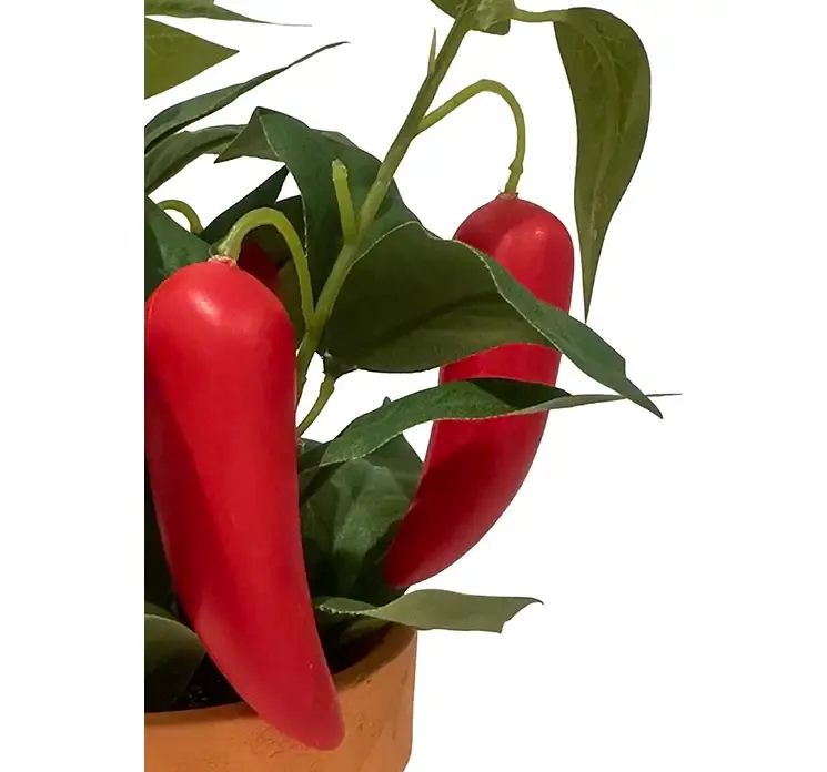 Kunstig chiliplante med røde chilipeber i potte af plast closeup