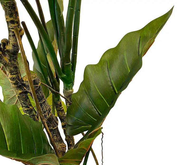 Elefantøre også kaldet colocasia kunstig plante af plast i sort potte 195cm closeup