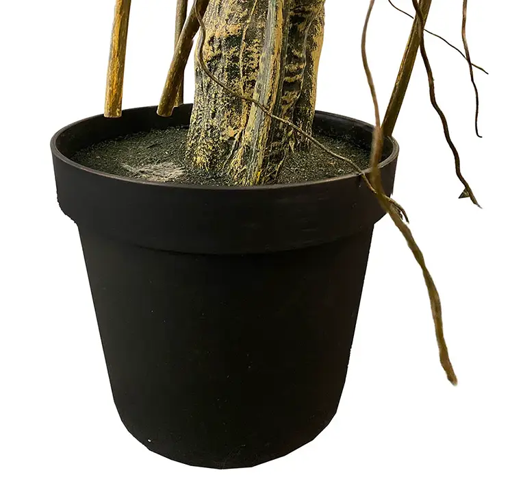 Elefantøre også kaldet colocasia kunstig plante af plast i sort potte 195cm closeup af potte