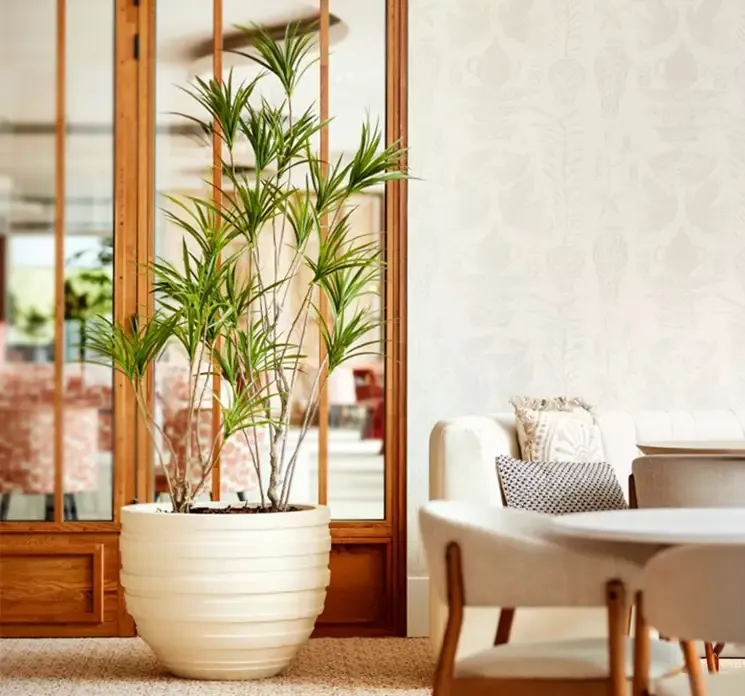 Kunstig dracaena plante i potte af plast vist i miljø