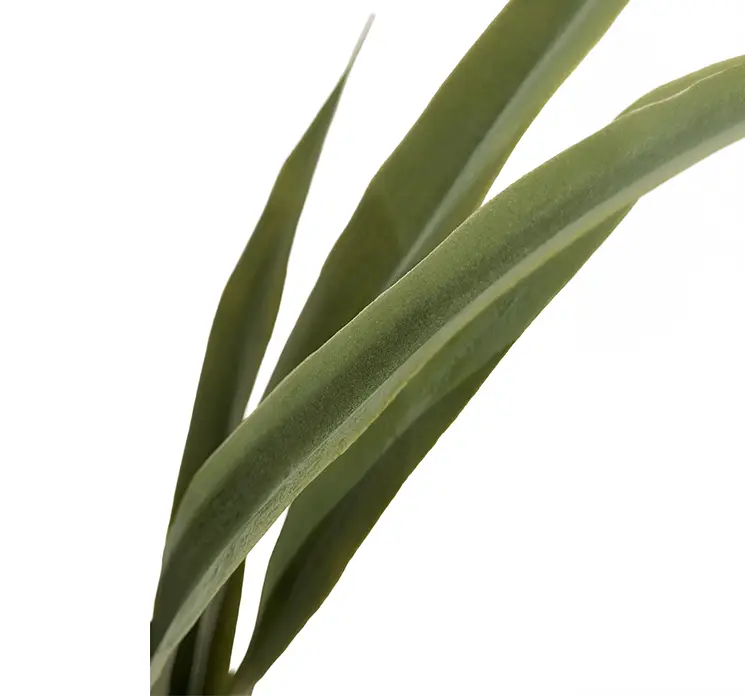 Dracaena kunstig uv-beskyttet plante af plast i sort potte 80cm closeup