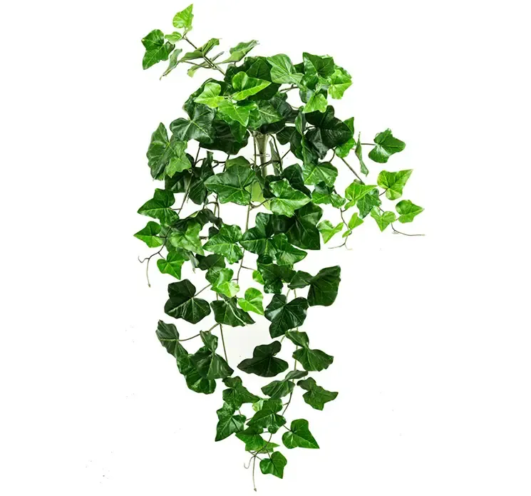 Efeu hængeplante i grøn af plast, flammehæmmende