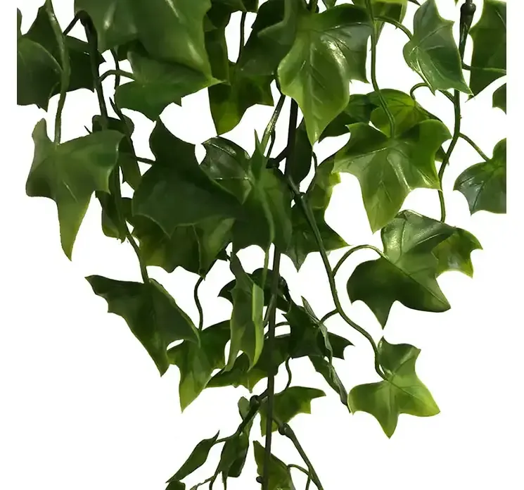 Kunstig efeu hænger i plast grøn closeup