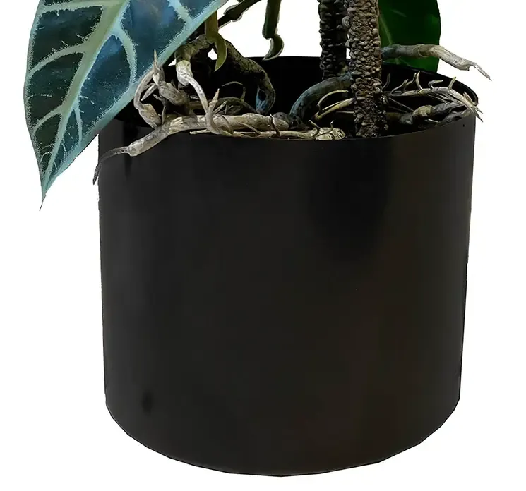 Kunstig elefantøre opbundet plante i sort potte af plast closeup af potte
