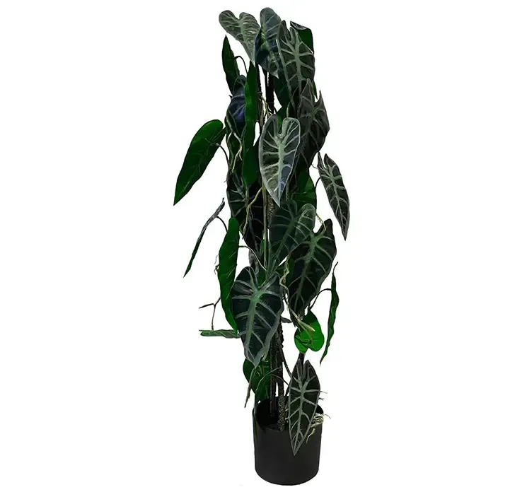 Kunstig elefantøre opbundet plante i sort potte af plast