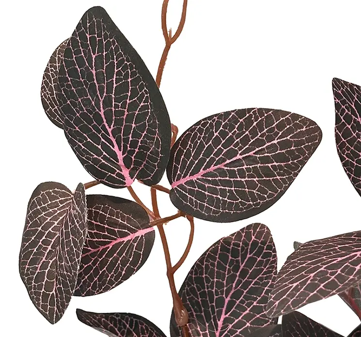 Fittonia på stilk af plast kunstig plante i grøn og pink farvet 54cm closeup