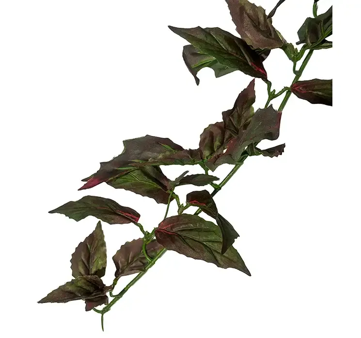 Kunstig fløjlsplante også kaldet gynura hængeplante i grøn og lilla af plast