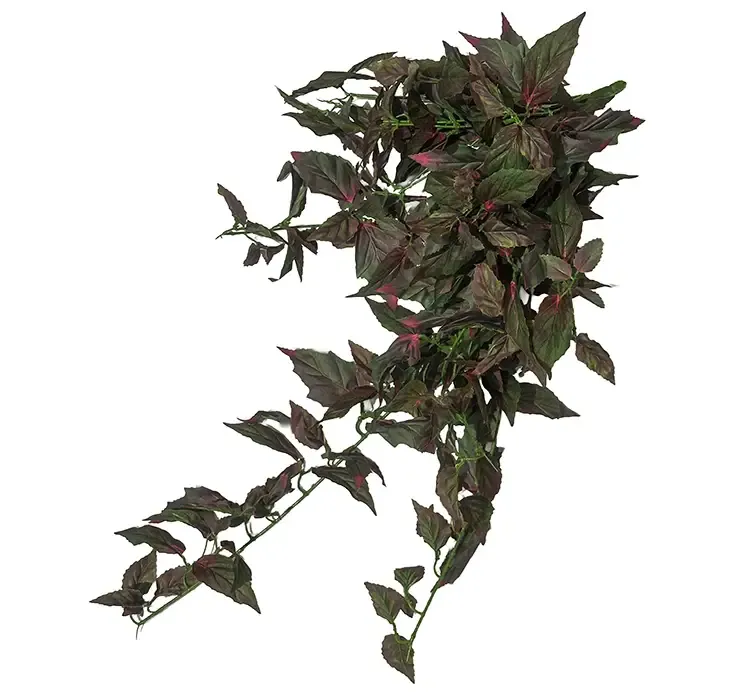 Kunstig fløjlsplante også kaldet gynura hængeplante i grøn og lilla af plast