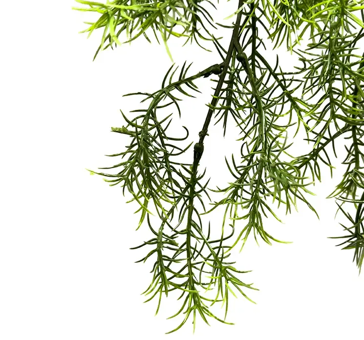 Kunstig plante græs hænger i grøn closeup