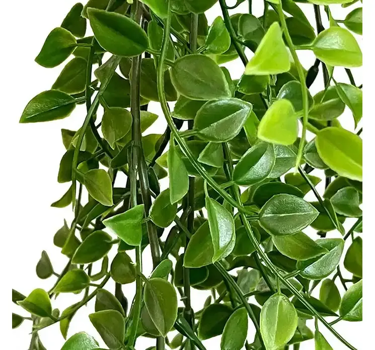 Kunstig hængefigen plante af plast closeup