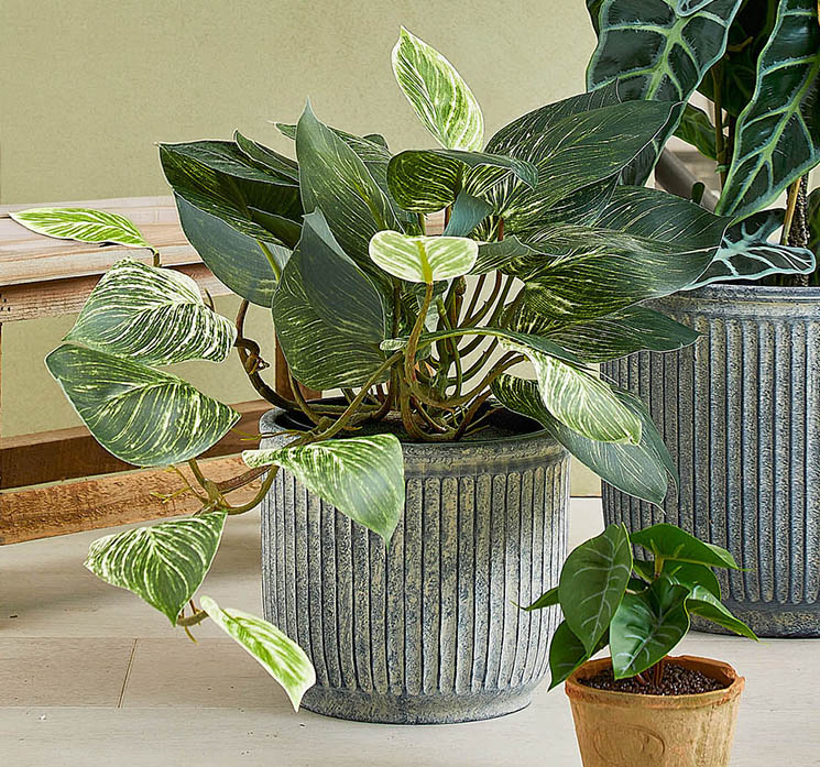 Kunstig guldranke hængeplante af plast i sort potte vist i stuemiljø med andre kunstige planter